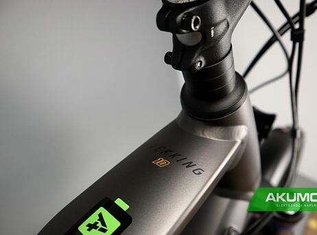 Haibike Trekking 10 - High 2022 - titan/lava matt