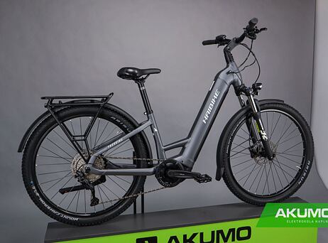 Haibike Trekking 4 - Low - Dark silver/pearl - matt