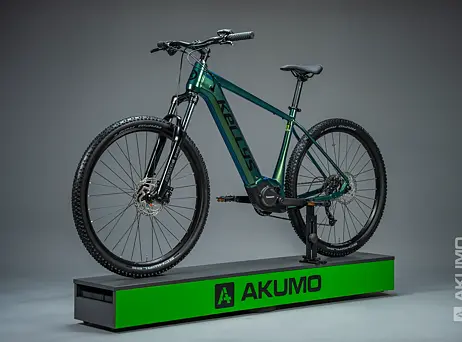 KELLYS Tygon R10 P Magic Green 29" 725Wh
