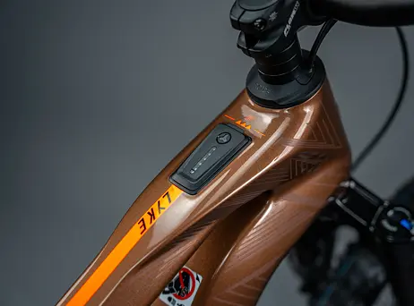 Haibike Lyke CF 10 - Leather/Orange-gloss