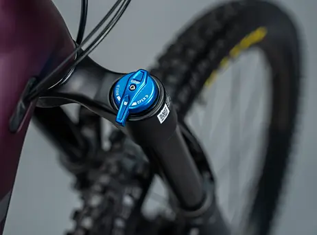 Orbea RISE H10 2023 - Metallic Mulberry-Black