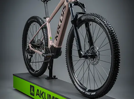 KELLYS Tayen R50 P Rose Gold 29" 820Wh