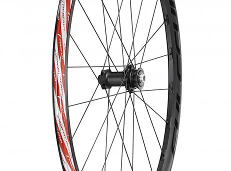 9ehfap_2021_rapid_red3_db_3_4_front_ntk7a5.jpg?4650443703a4fbb94ce3330921f8779d