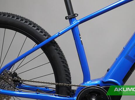 PELLS Thorr First ER Blue