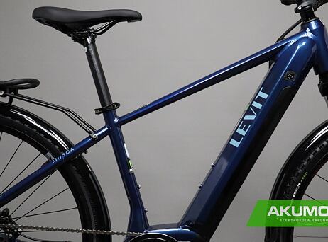 LEVIT MUSCA MX over dark blue pearl