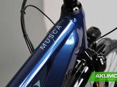 LEVIT MUSCA MX over dark blue pearl