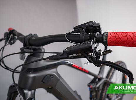 Bulls Sonic EVO AM3 Carbon 29/27,5* 750Wh 2022 - black/chrome