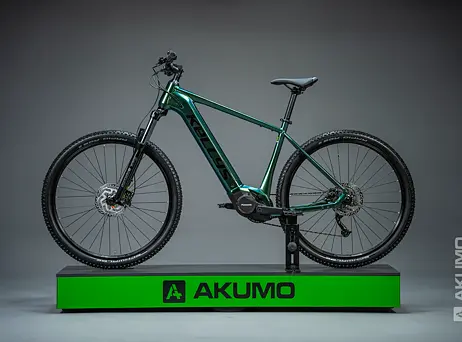 KELLYS Tygon R10 P Magic Green 29" 725Wh