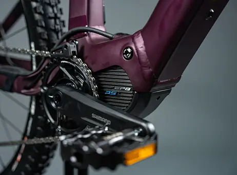 Orbea RISE H10 2023 - Metallic Mulberry-Black