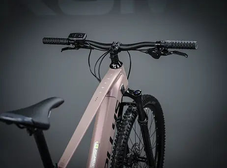 KELLYS Tayen R50 P Rose Gold 29" 820Wh