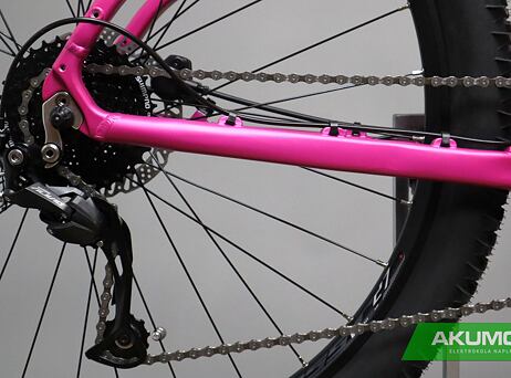 Pells Thorr Base W Magenta