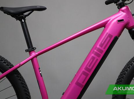 Pells Thorr Base W Magenta