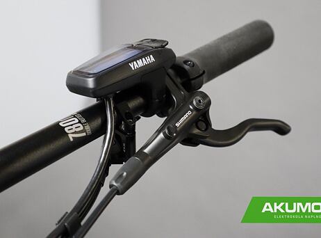 Haibike FullSeven 7 2021 - platin/anthracite