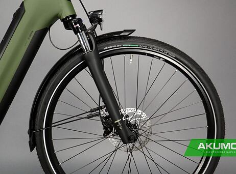 Winora Tria 10 - Low - Mossgreen matt