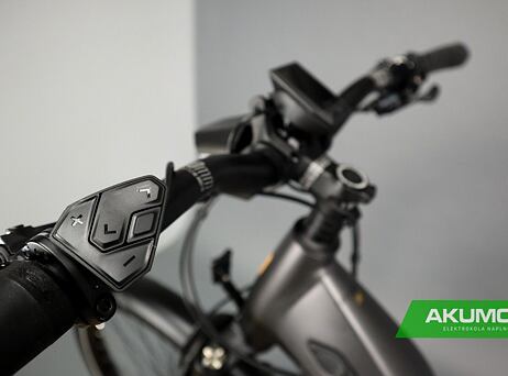 Haibike Trekking 10 - low 2022 - titan/lava matte