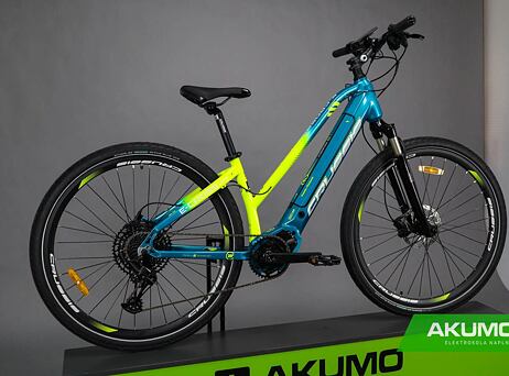 Crussis e-Cross Low 9.8-S