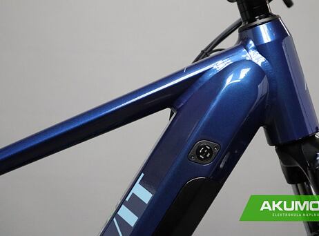 LEVIT MUSCA MX over dark blue pearl