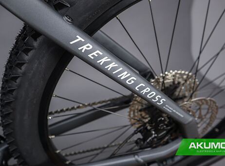 Haibike Trekking 4 Cross - Low - Dark silver/pearl - matt