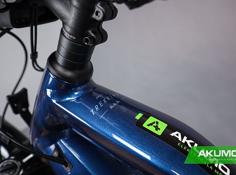 Haibike Trekking 8 750Wh - High - Gloss Roy Met Silverink