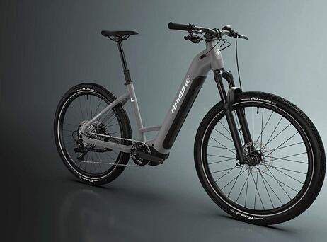 Haibike Trekking 4 - Low - Dark silver/pearl - matt