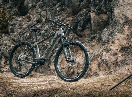 KELLYS Tygon R90 P Grey 29" 725Wh