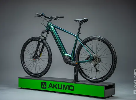 KELLYS Tygon R10 P Magic Green 29" 725Wh