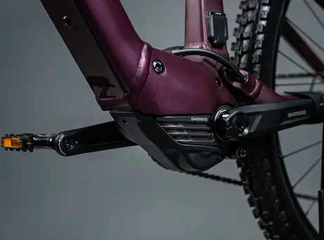 Orbea RISE H10 2023 - Metallic Mulberry-Black