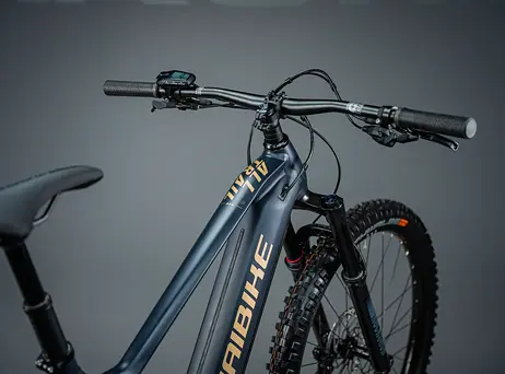 Haibike Alltrail 6 29 - Blue/Caramel - Matt&Gloss