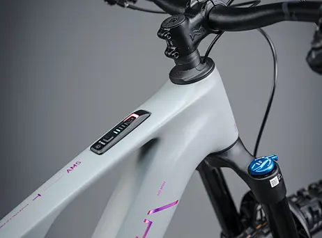 Cube AMS Hybrid ONE44 C:68X TM 400X 29 - swampgrey´n´purplereflex
