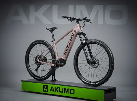 KELLYS Tayen R50 P Rose Gold 29" 820Wh