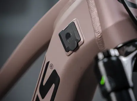 KELLYS Tayen R50 P Rose Gold 29" 820Wh