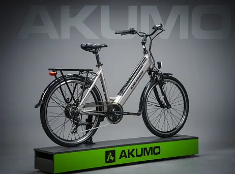 Crussis e-Country 1.13-(459 Wh)