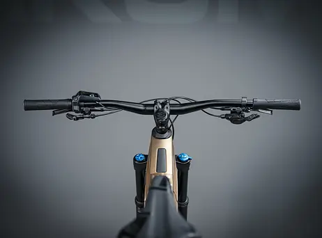 KTM Macina Kapoho 8972 - Golden Dust Matt (Black)