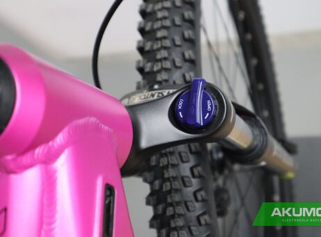 Pells Thorr Base W Magenta