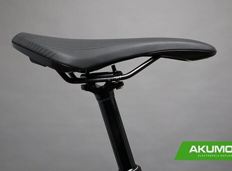 Haibike FullSeven 7 2021 - platin/anthracite