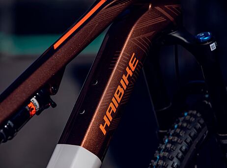 Haibike Lyke CF 10 - Leather/Orange-gloss