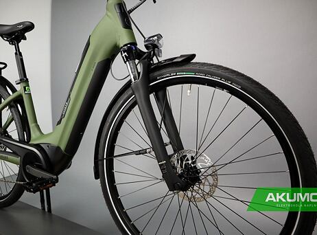 Winora Tria 10 - Low - Mossgreen matt