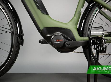 Winora Tria 10 - Low - Mossgreen matt
