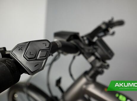 Haibike Trekking 10 - High 2022 - titan/lava matt