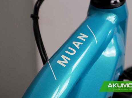 LEVIT MUAN MX 3 630 mid turquoise pearl
