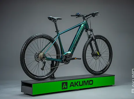 KELLYS Tygon R10 P Magic Green 29" 725Wh