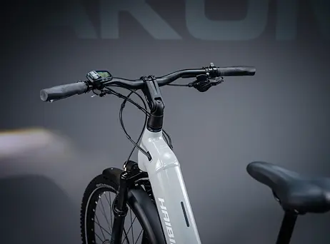Haibike Trekking 7 Low - Urban grey/white - gloss