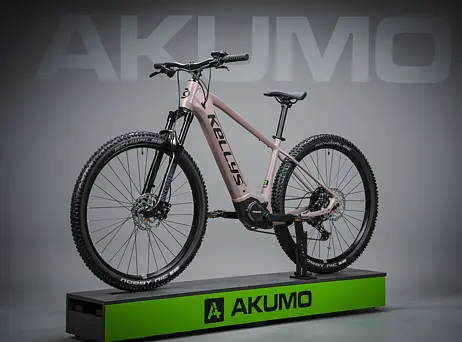 KELLYS Tayen R50 P Rose Gold 29" 820Wh