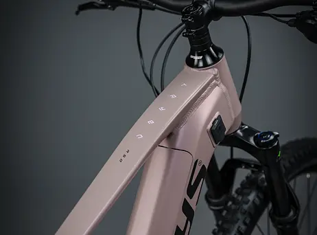 KELLYS Tayen R50 P Rose Gold 29" 820Wh