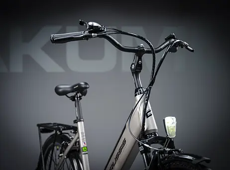 Crussis e-Country 1.13-(459 Wh)